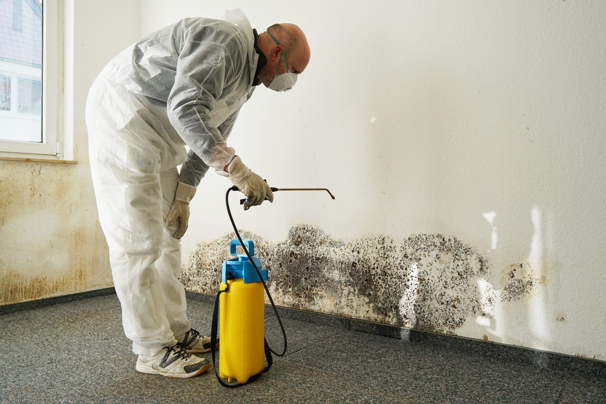 Certified Disaster Services technician performing mold remediation inside a Utah home